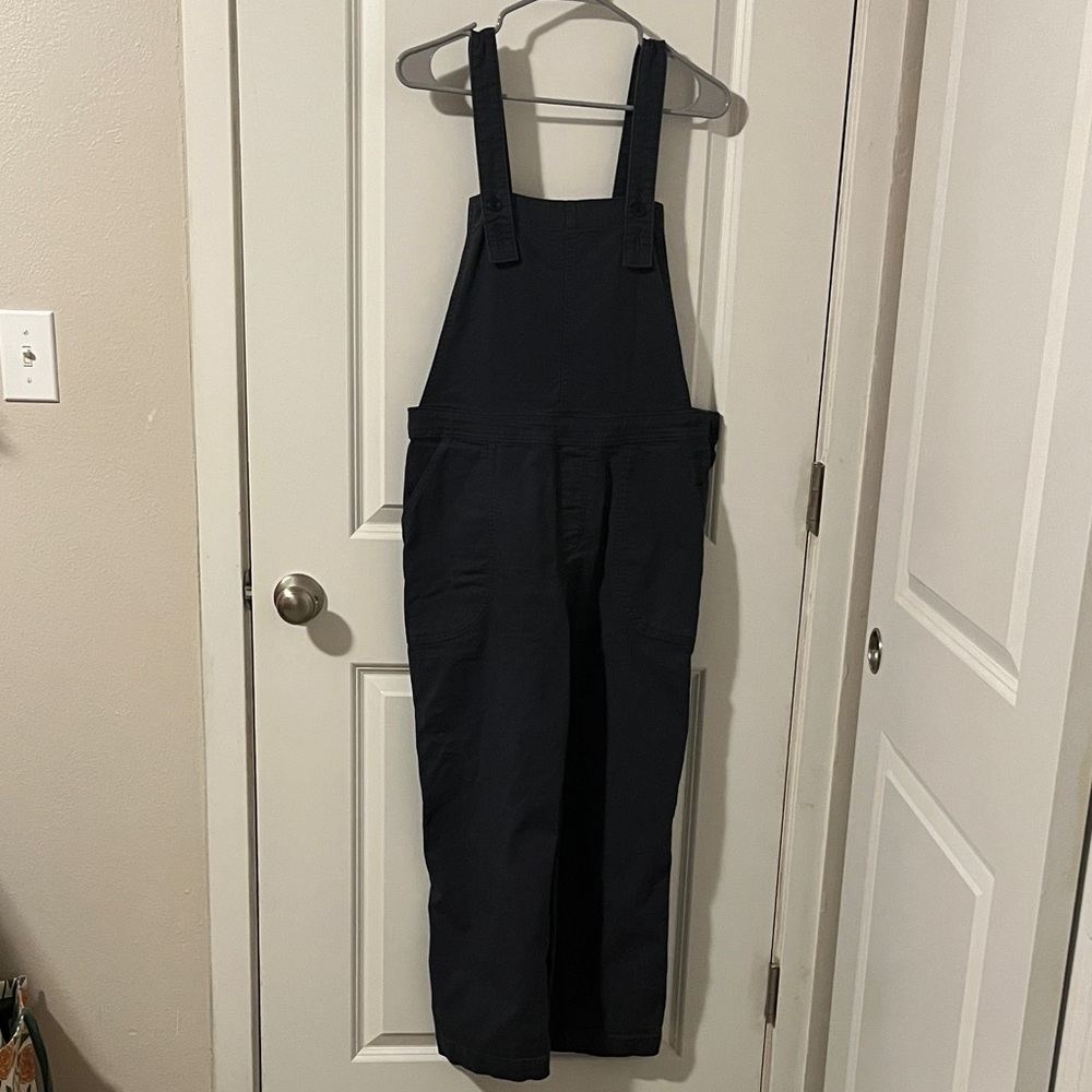 Patagonia Women's Dark Overalls